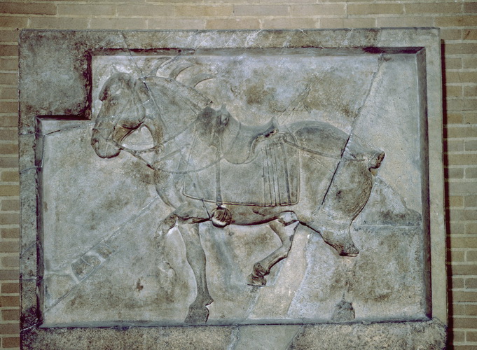 image020.jpg