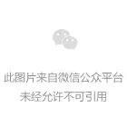 文创产业分会 | AIGC 专题培训 点燃文创新引擎