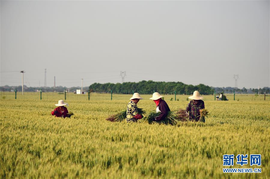 新华社：不同寻常的两会 万众一心的力量&mdash;&mdash;写在2020年全国两会召开之际