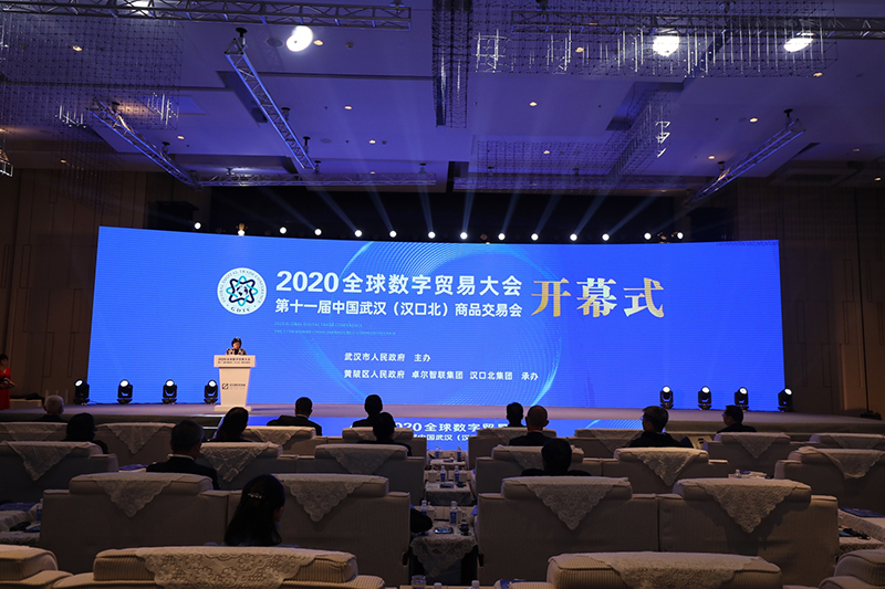 鲁勇出席2020全球（武汉）数字贸易大会