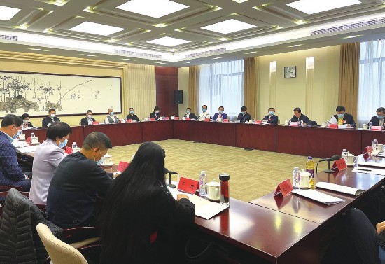 聚焦国家重大战略 发挥民企优势作用——工商联界别委员讨论“十四五”规划和2035年远景目标纲要草案