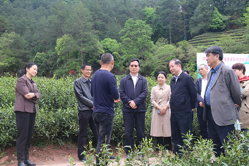 谢经荣率队赴闽开展民营企业参与乡村振兴调研