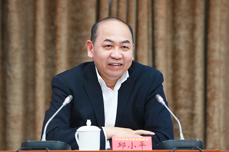 邱小平副主席视频会见中国德国商会秘书长晏思