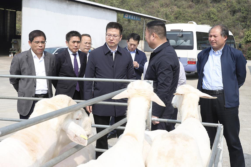 方光华赴广西都安开展乡村振兴重点帮扶调研